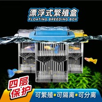 Guppy breeding box isolation box in the fish tank floating fry baby fish mother fish delivery room incubator tank isolation tank