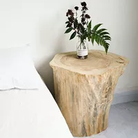 40, диаметр 25×30мм, 25×30см