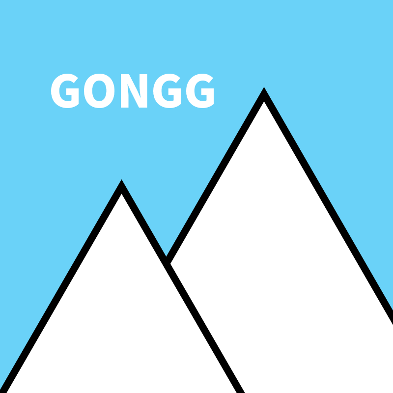 冈极GONGG
