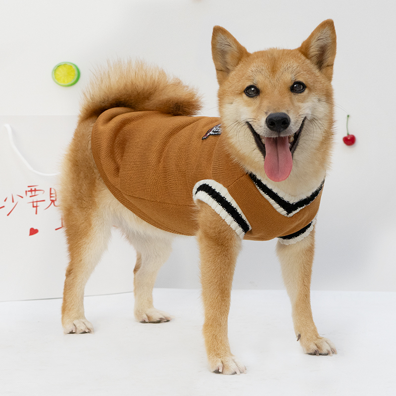 Dog Clothes Autumn and Winter New Sweater Shiba Inu Corgi Bichon Teddy Winter Warm Clothing College Style Sweatshirt