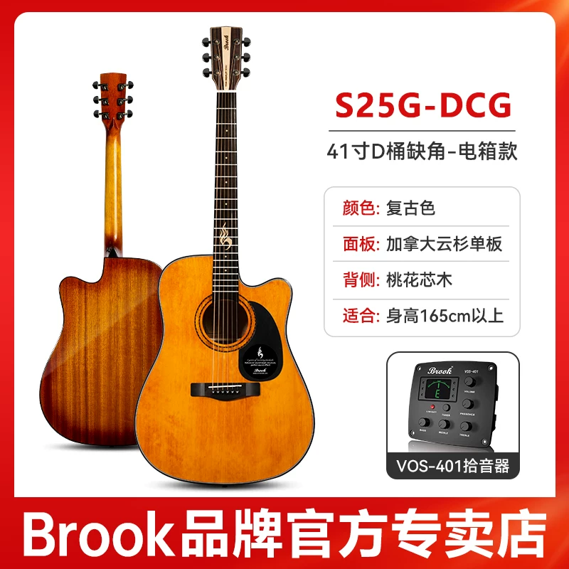 Гитара-однокорпус Brook Brook s25 — официальный флагманский продукт
