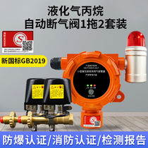Gas alarm restaurant gas leakage commercial liquefied gas industrial combustible gas detection alarm device