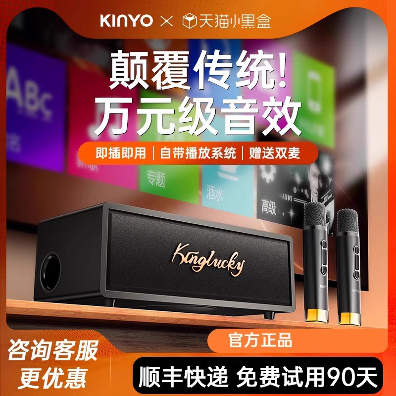 Jinyun family KTV audio karaoke machine