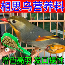 Phase Thought Bird Feed (not eating packets back) The red mouth silver ear synod of the birds Refreshing Plums of Nourishing Bird Foods