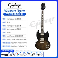 SG Modern Prigted TBF прозрачный рисунок тигра черный