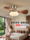 Asus Lighting Mid-Century Style Bedroom Lamp Ceiling Fan Lamp Bauhaus Dining Room Ceiling Fan Lamp Integrated Electric Fan Chandelier