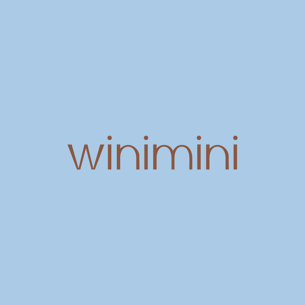 winimini 小个子的LOGO
