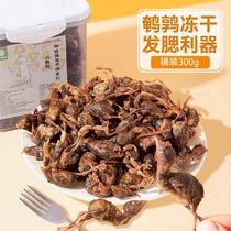 Pet quail freeze-drying bucket cats craving and bite-resistant snack dogs teeth grinding adult cat kitten Ragdoll and cat nutritional food