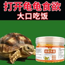 (Tortue de la tortue Appetite) Tortue multidimensionnelle Lanorexie nest pas active et lantistress malade restaure la force physique