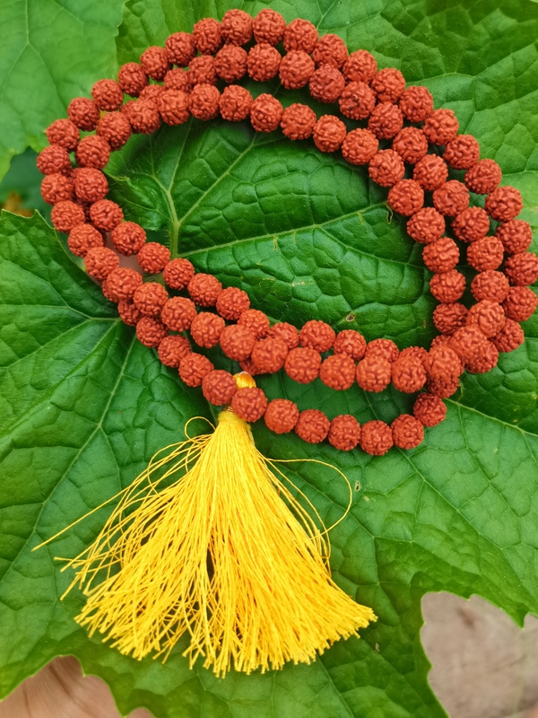 India Isha Center Sadhguru Sacred Authentic Small Vajra Bodhi Beads Bodhi Seed Bracelet Handheld Prayer Beads 8mm India Isha Center Sadhguru Sacred Authentic Small Vajra Bodhi Beads Bodhi Seed Bracelet Handheld Prayer Beads 8mm