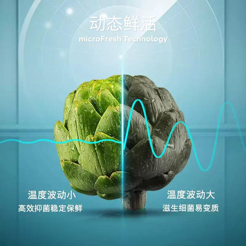 西门子KT99V1250C冰箱图片