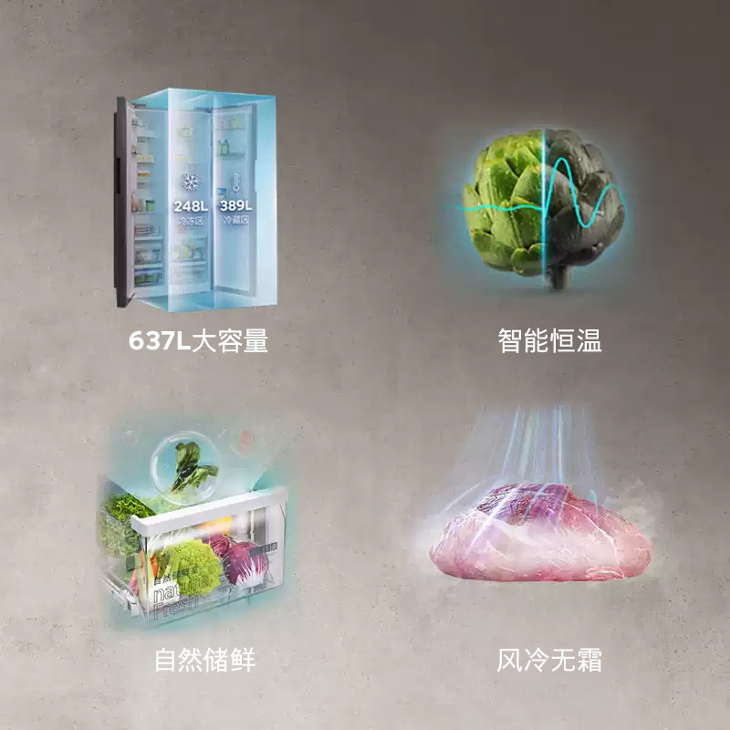 西门子KT99V1250C冰箱图片