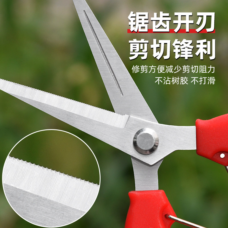 德国疏果剪刀真的这么神?摘茄子摘辣椒,一剪即断!园艺爱好者的福音来啦!-园艺刀剪-淘宝好物网