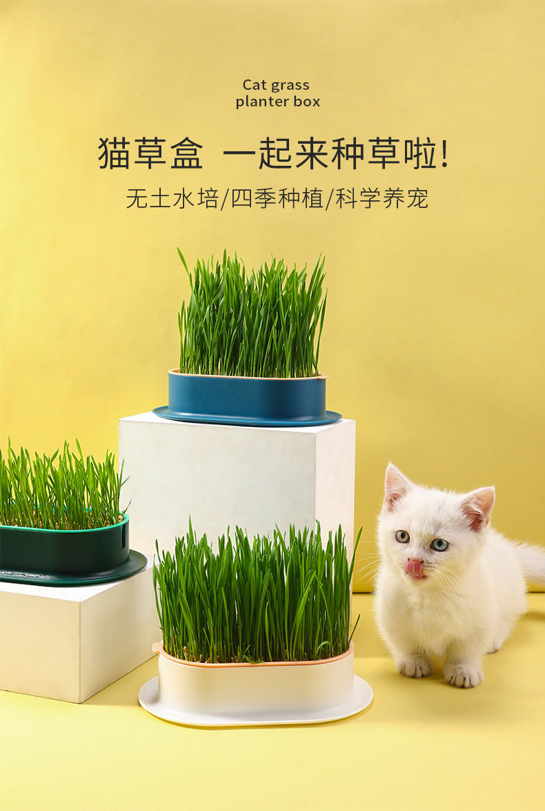 Кошки закуски 猫草盆栽种籽水培盒懒人种植有机猫草化毛球片小麦种子育苗盘零食 Pampas