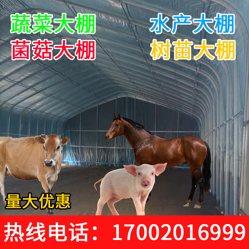 广东大棚实体厂家的LOGO