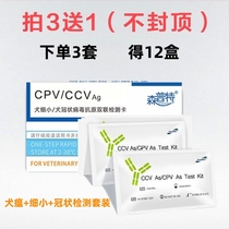 (Buy three sets of 12 boxes) Dog pestis small test paper Pets Puppy Swine Fever small coronal test paper testing suit