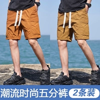 JX-BJ3066 CARAMEL COLOR+JX-BJ3066 Кофе