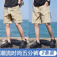 Jx-bj3066 Abricot Color+JX-BJ3055 Abricot Color