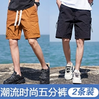 JX-BJ3066 Caramel Color+JX-BJ3055 Black