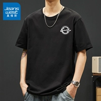 Небольшой стандартный солнечный черный