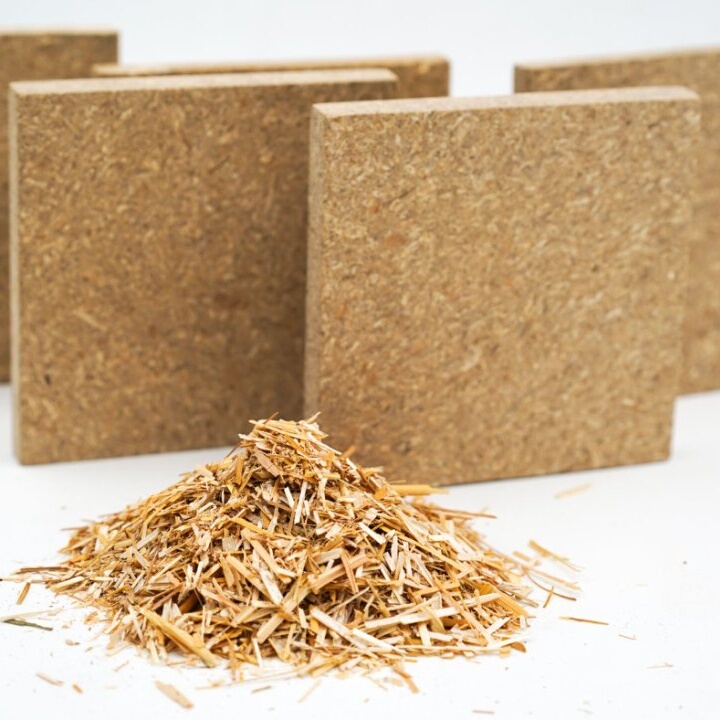 New Flower and Plant Panels Are Sustainable Decorative Materials for Guesthouses, Shop Design, Furniture, and Home Panels, and Are Environmentally Friendly Materials