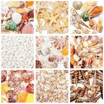 Natural shells conch starfish fish tank landscaping decorative ornaments handmade diy wind chime drift bottle material package