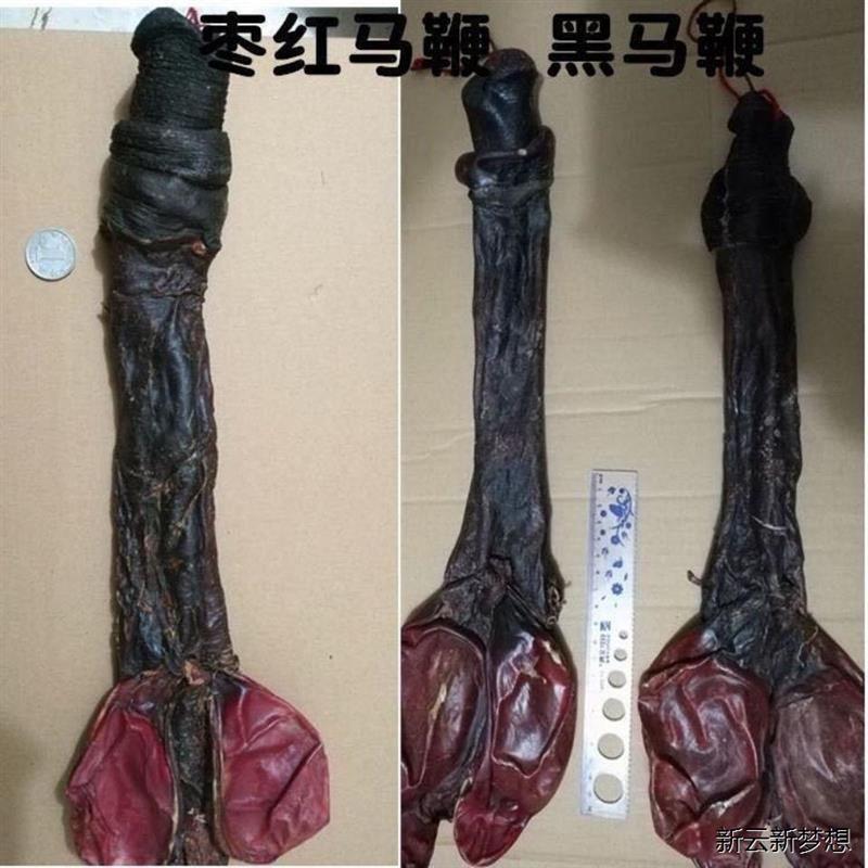 厳選された本物の白い馬鞭乾燥本物の特大馬鞭卵睾丸付き男性ワイン浸漬材料260グラム送料無料CRV
