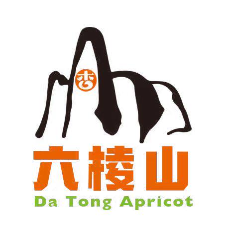 六棱山特产店