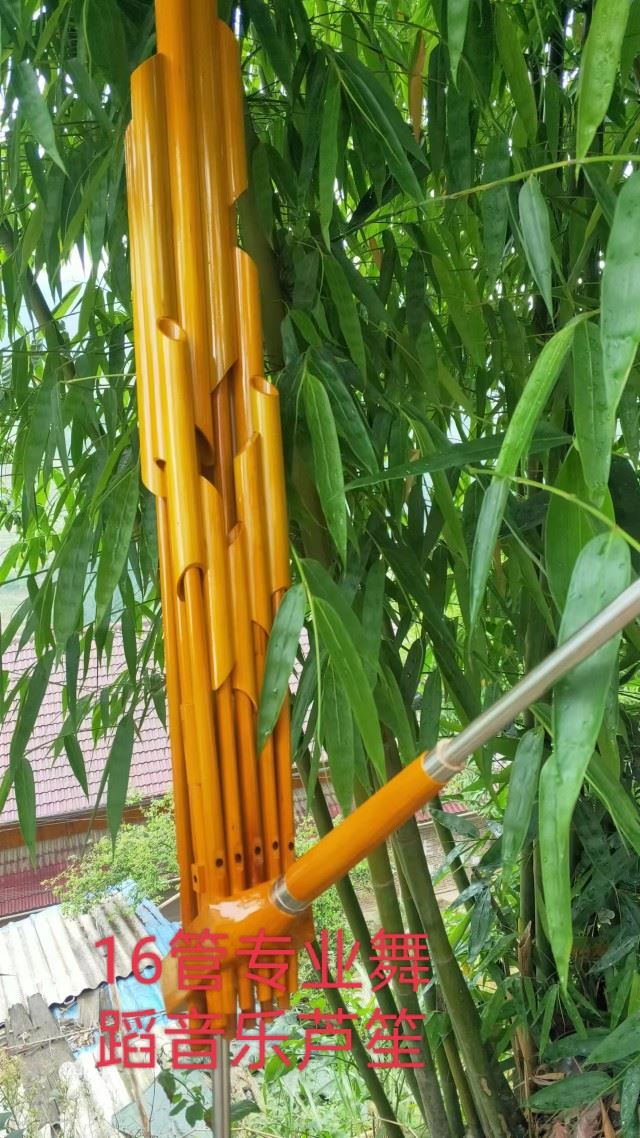 Drum Zang Festival Peoli Multiple 6 8 Pipe 8 12 Pipe 14 Pipe 16 Pipe 17 Pipe 18 Pipe 19 Pipe 19 Pipe Musical Instrument Professional Dance Reed Sheng-Taobao