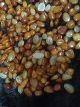 Hetian jade rough stone size is about 10mm*20mm