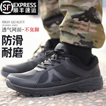 Jihua training shoes mens new physical training shoes spring and summer breathable wear-resistant outdoor training rubber shoes small black shoes