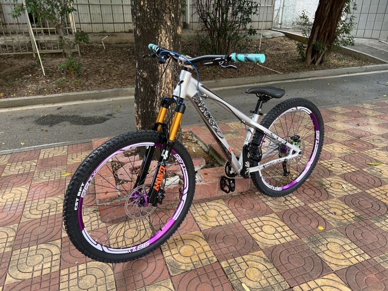 Genuine Wissco Weishigao Mountain Bike, Variable Speed Version, 10-Speed, 26/ 27.5inch Inch, Entry-Level Am, Off-Road, Commuting