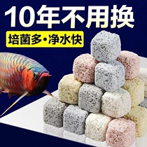 Microcrystalline stone probiotic house fish tank filter material multi-dimensional probiotic column nitrifying bacteria house fish pond culture ball filter brick