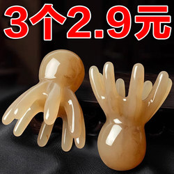 문어 머리 자오선 마사지 콤 옥토퍼스