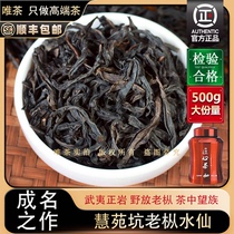 Weicha Narcissus rock tea old fir narcissus woody moss special high-end handmade oolong tea 500g to drink by yourself and entertain guests