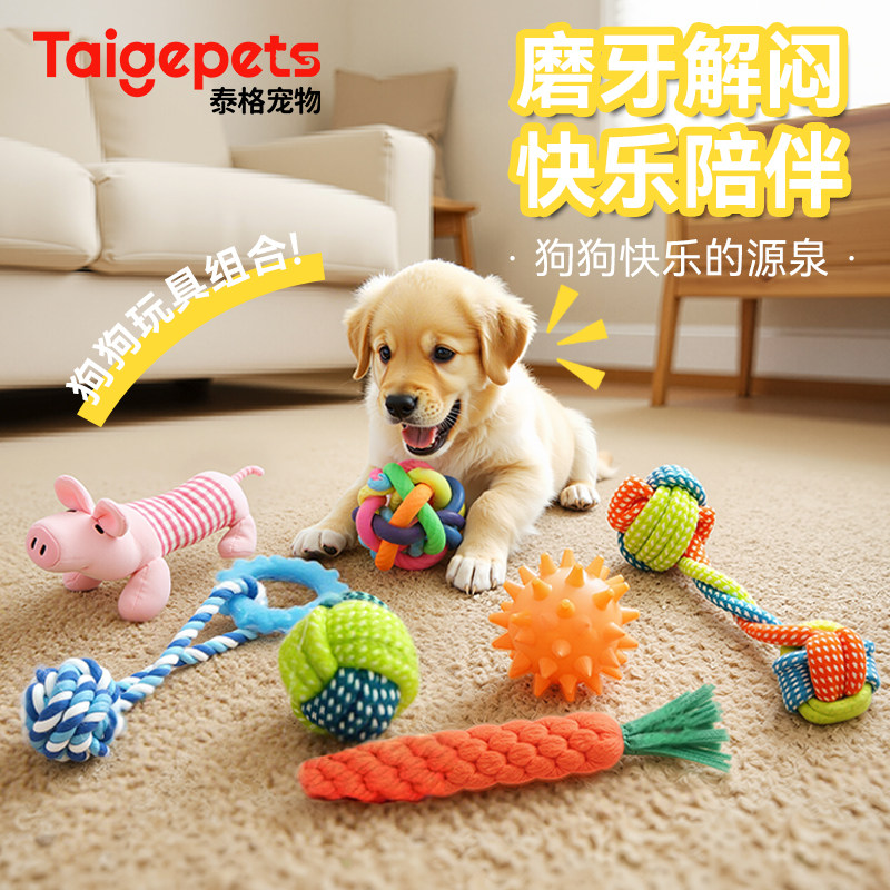 子犬、コーギー、テディベア、ビション・フリーゼ向けの、犬用おもちゃ、自主遊びや娯楽補助具、音が出る歯磨き用おもちゃ、噛みつきに強いおもちゃ。