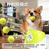 Dog Toy Ball to Relieve Boredom, Automatic Ball Launcher, Tennis Ball Launcher, Border Collie Throwing Ball, Pet Walking, Expend Energy