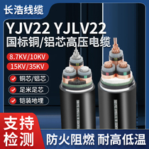 National standard 10KV35KV high voltage aluminum core copper core armored YJLV22YJV223 core 50 70 120 square cable