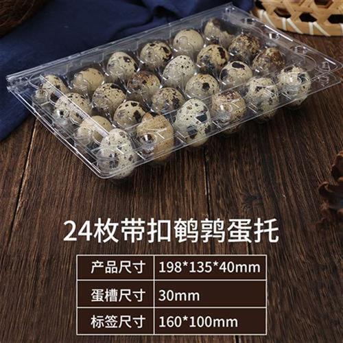 24 plastic thickened with buckle quail egg TOA disposable quail egg gift box packaging box transparent 100-Taobao