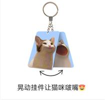Internet celebrity pouting cat dynamic pendant creative keychain HD version cute kitten 3D acrylic pendant gift