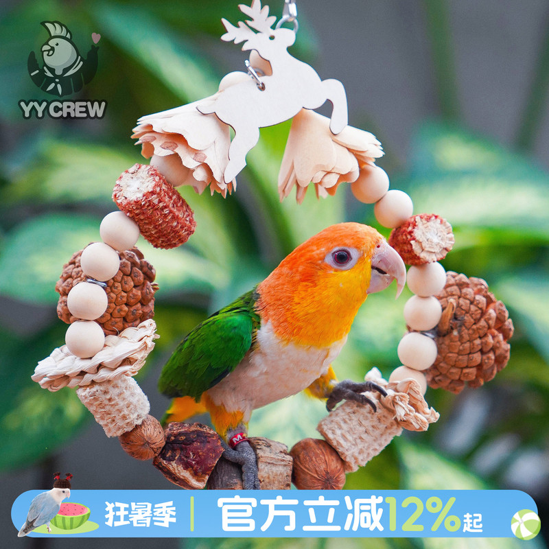 Parrot Team Christmas Ring Swing Parrot Chewing Toy Pine Cone Dried Fruit Pendant Peony Landscaping Supplies
