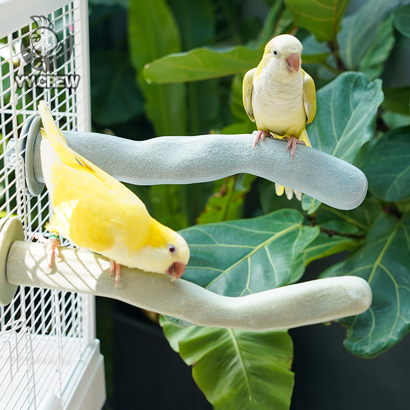 オウムチーム、オウムの爪研磨スタンドロッド、くちばし研磨スティック、鳥スタンドスティック、おもちゃスタンド、牡丹鳥かご、軽石研磨つま先スタンドスティック