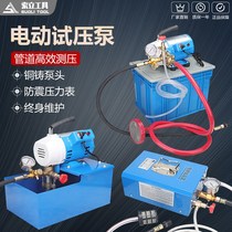 Portable electric test pump DSY-60 25100 pipe test pump pressure pump test pump full copper head
