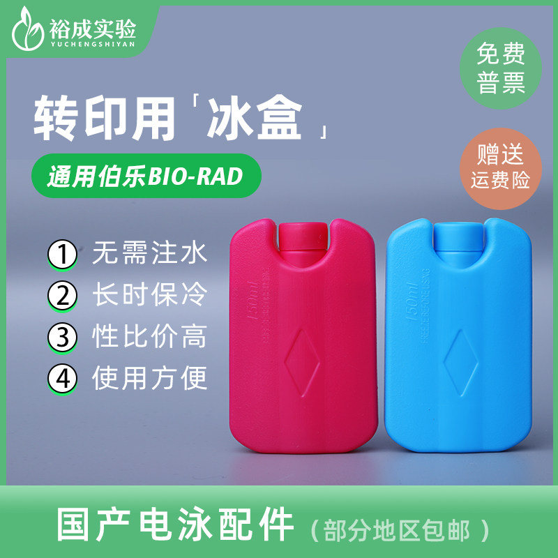 Western blot 转印冰盒 电转小冰盒 转印用 湿转冰袋 HDPE冰盒