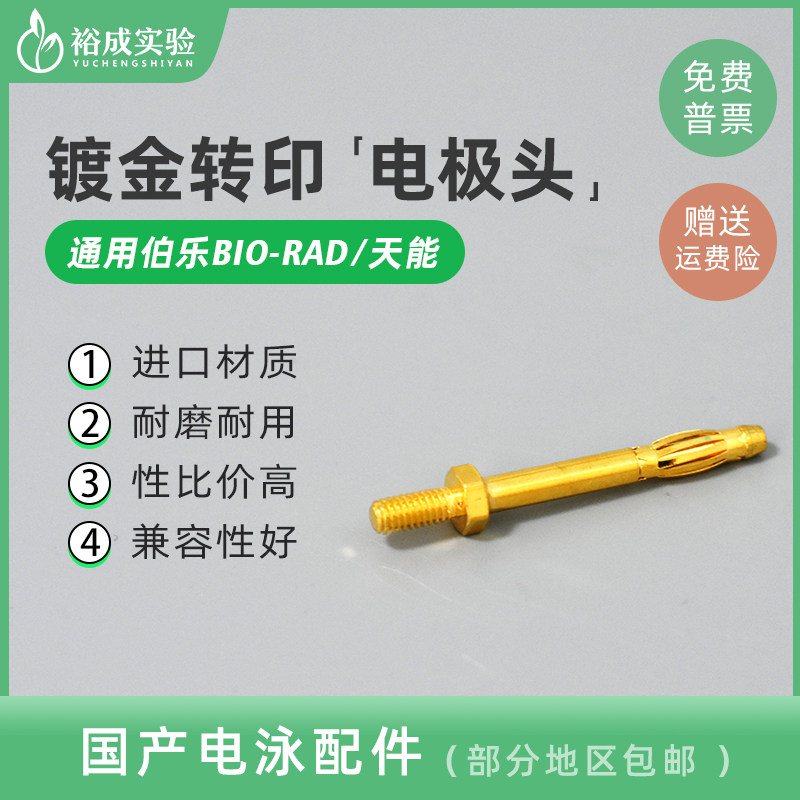 适配BIO-RAD伯乐天能凯元 电泳芯电极头 转印电泳槽电极头 香蕉头