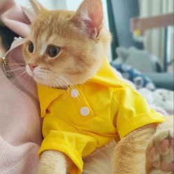 Cat Clothes Spring and Summer Thin Style for Kittens, Pets, Small Dogs, Blue Cats, British Shorthair, Anti-Shedding Ragdoll Vest, Cat Summer Outfit