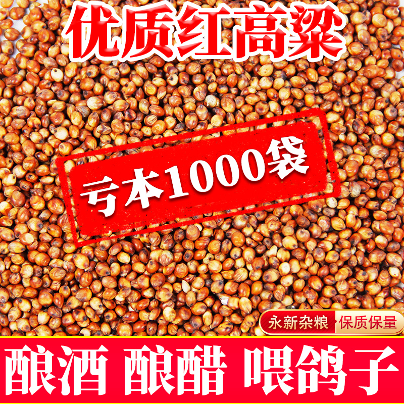 New Red Sorghum 20kg Special Offer New Grain for Brewing 10kg Bird Food for Feeding Pigeons 50kg Seasonal Small Red Sorghum 10kg