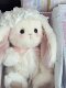 Lillian Lop-Eared Rabbit High-End Rabbit Plush Toy Comfort Doll Stuffed Toy Girl's Birthday New Year Gift