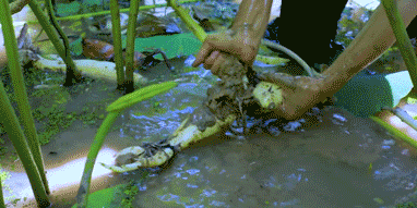 20251215_152247_132.gif