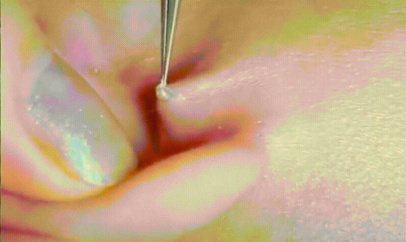 20260812_161240_005.gif